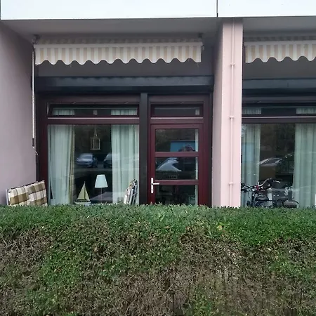 Delphinkoje Kniedler 3-0-6 - Ifa Kellenhusen