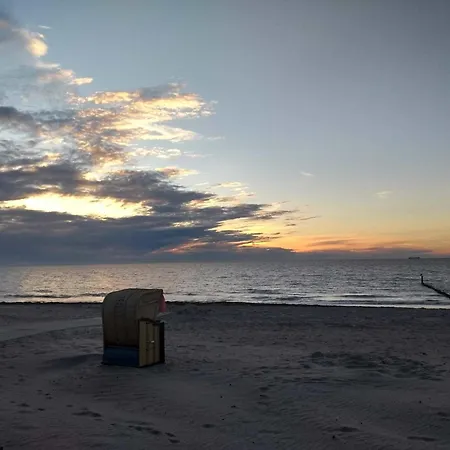 Delphinkoje Kniedler 3-0-6 - Ifa