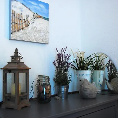 Delphinkoje Kniedler 3-0-6 - Ifa Lejlighed *