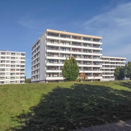 Delphinkoje Kniedler 3-0-6 - Ifa *