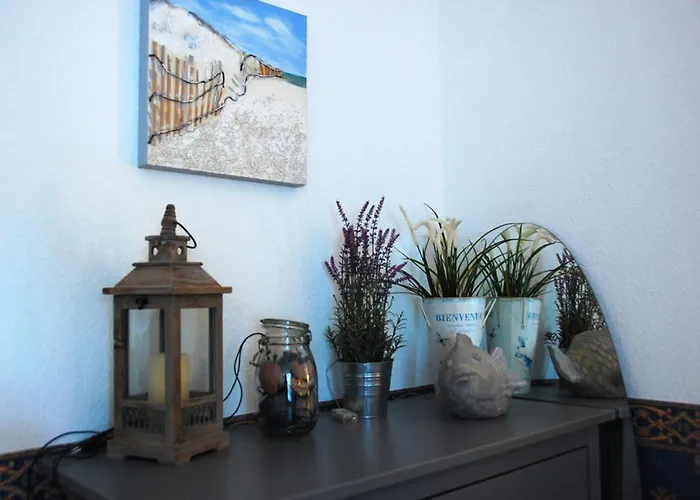 Delphinkoje Kniedler 3-0-6 - Ifa Appartement *