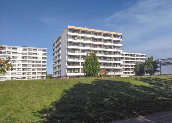 Delphinkoje Kniedler 3-0-6 - Ifa *